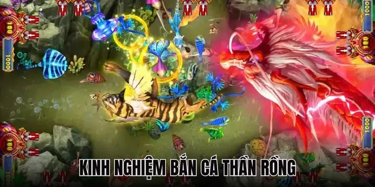 Bắn Cá Rồng W88: Bí Kíp Hốt Bạc Từ Đại Dương Sâu Thẳm
